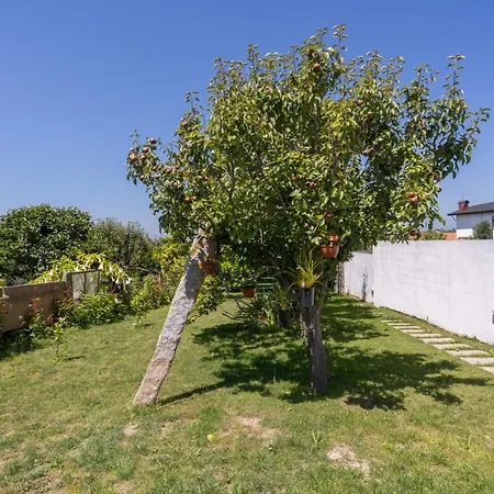 Tatil Evi Terra & Mar - Land & Sea