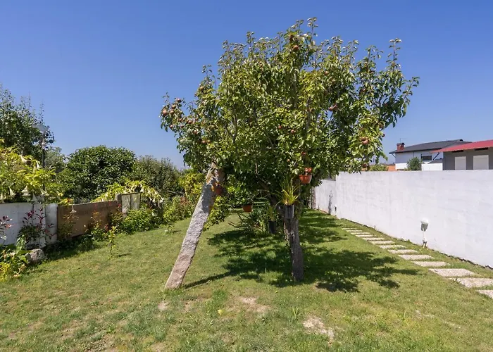 Tatil Evi Terra & Mar - Land & Sea